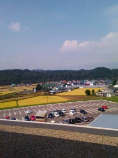 201110101105.jpg
