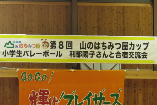 はちみつ屋カップ 01 はちみつ屋カップ 01